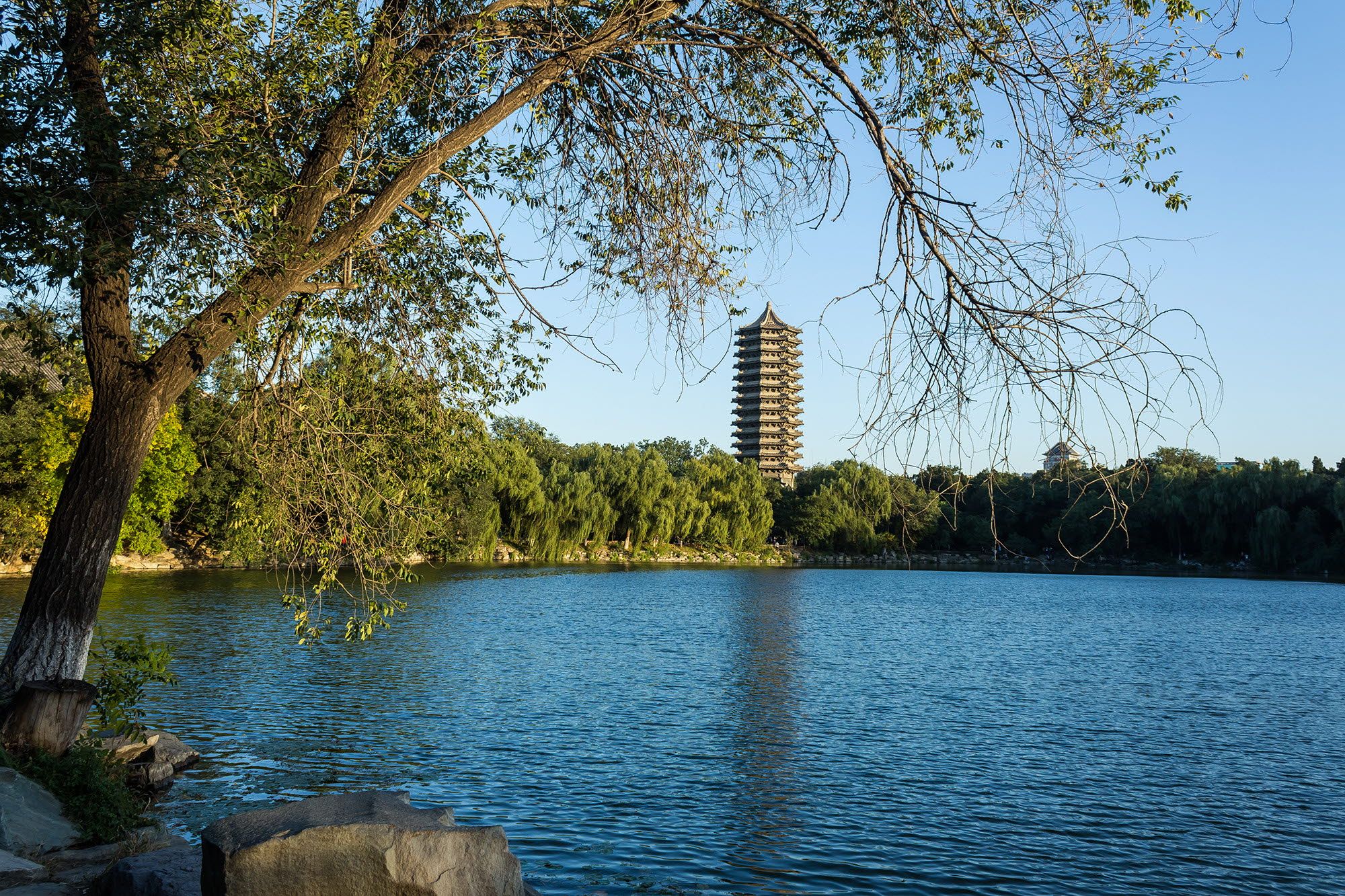 Peking University