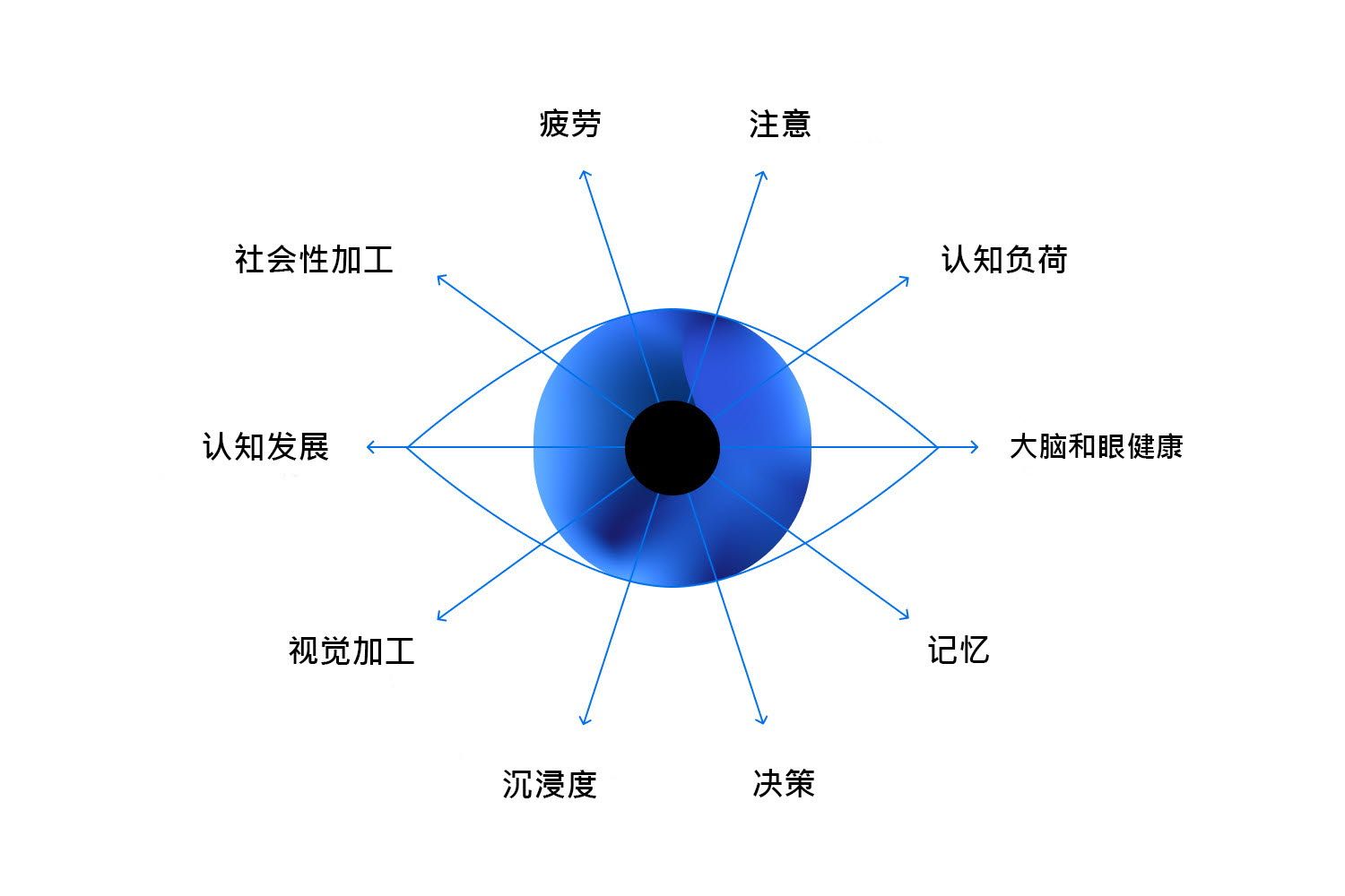 What is eye tracking illustration in Chinese