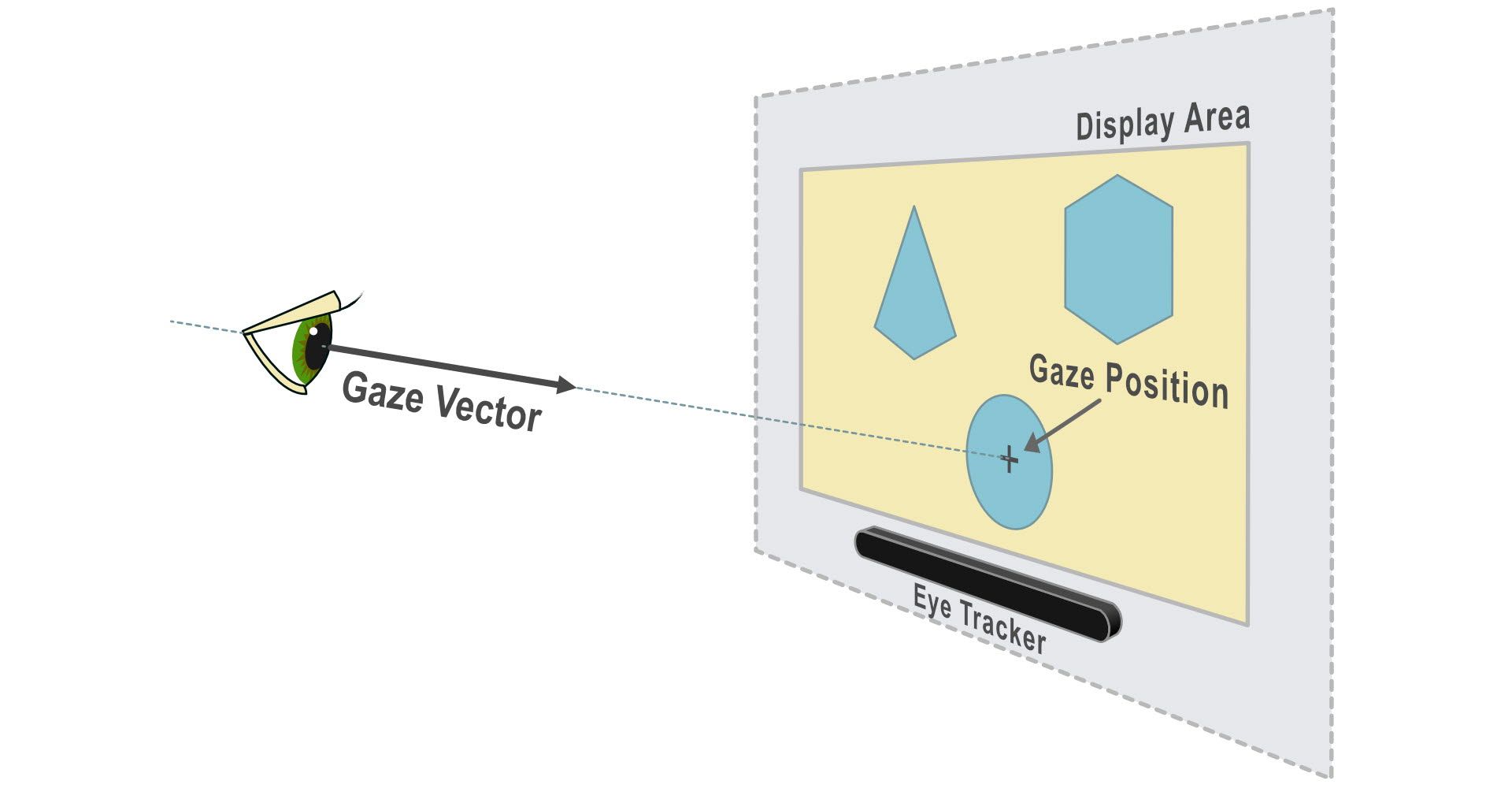 Tobii Gaze diagram